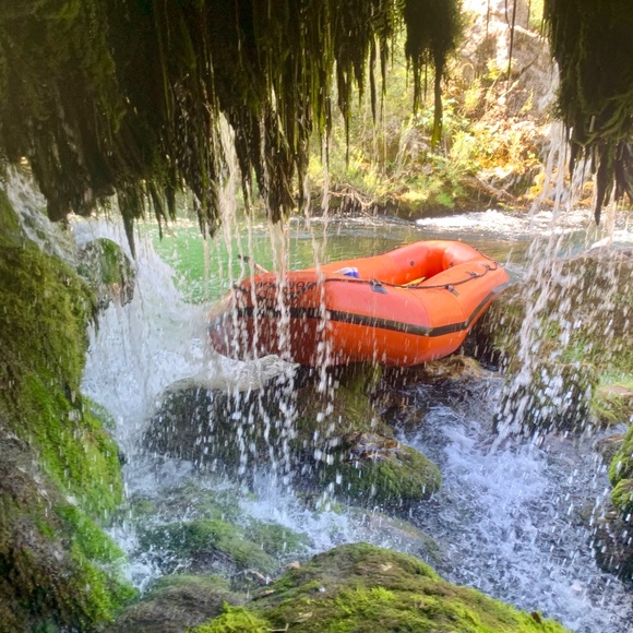 Meet your Posher, Yolie - Picture 7 of 8